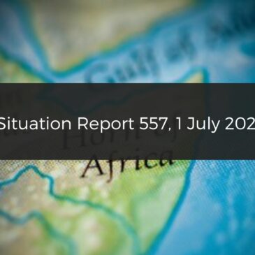 Situation report: The capital of Sennar state – Singa captured by RSF; Turkey is mediating between Somalia and Ethiopia over MoU with Somaliland; 27 civilians reportedly killed in Amhara