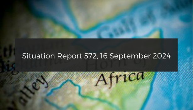 Situation report: South Sudan delay the general elections to December 2026; Smuggled archeological artefacts out of Sudan being sold online; Fierce fighting in El Fasher