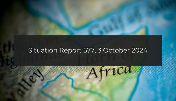 Situation report: Fighting escalates in Amhara; SAF accused of executions in Al-Halfaya -Khartoum; UN Security Council holds meeting on Somalia