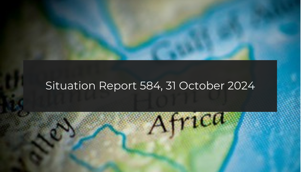 Situation report: Somalia proclaims Ethiopian diplomat persona non grata; Women raped by RSF commit suicide; 11 million IDPs in Sudan